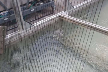 Regranulacyjna linia do produkcji żyłky DSL 150