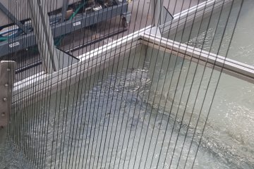 Regranulierungs-Stranglinie DSL 150