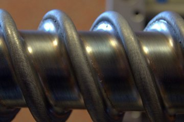Regeneration von Schnecken M2